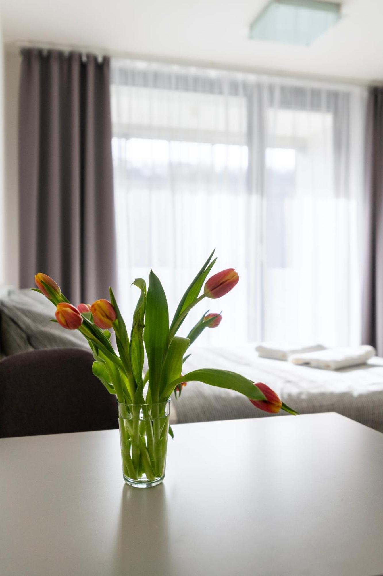 Apartmán 12 Min Centrum, 200mb Wifi, Onsite Supermarket